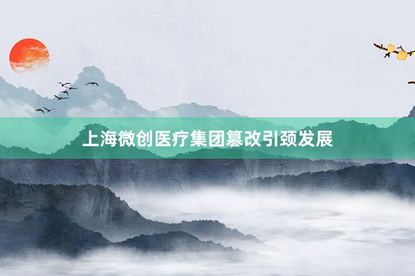 上海微创医疗集团篡改引颈发展