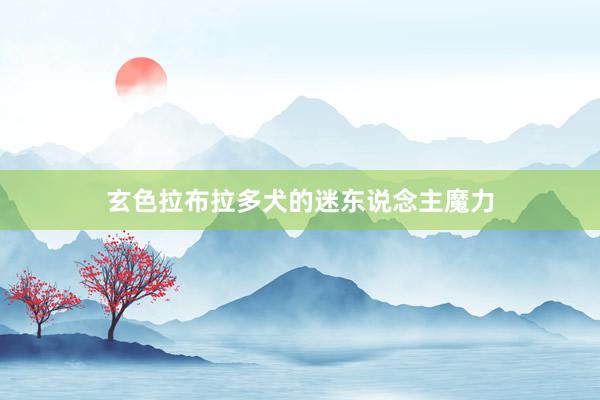 玄色拉布拉多犬的迷东说念主魔力
