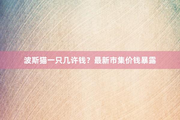 波斯猫一只几许钱？最新市集价钱暴露